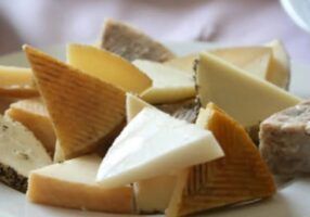 La Diputación de Málaga convoca una nueva edición de los premios a los mejores vinos con DOP Málaga y Sierras de Málaga y a los mejores quesos de cabra de la provincia - Gastronomía y Moda