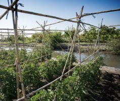 Paseos por 5 espacios verdes de Castelló - Gastronomía y Moda