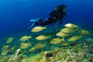 El secreto de las cristalinas aguas de Formentera - Gastronomía y Moda