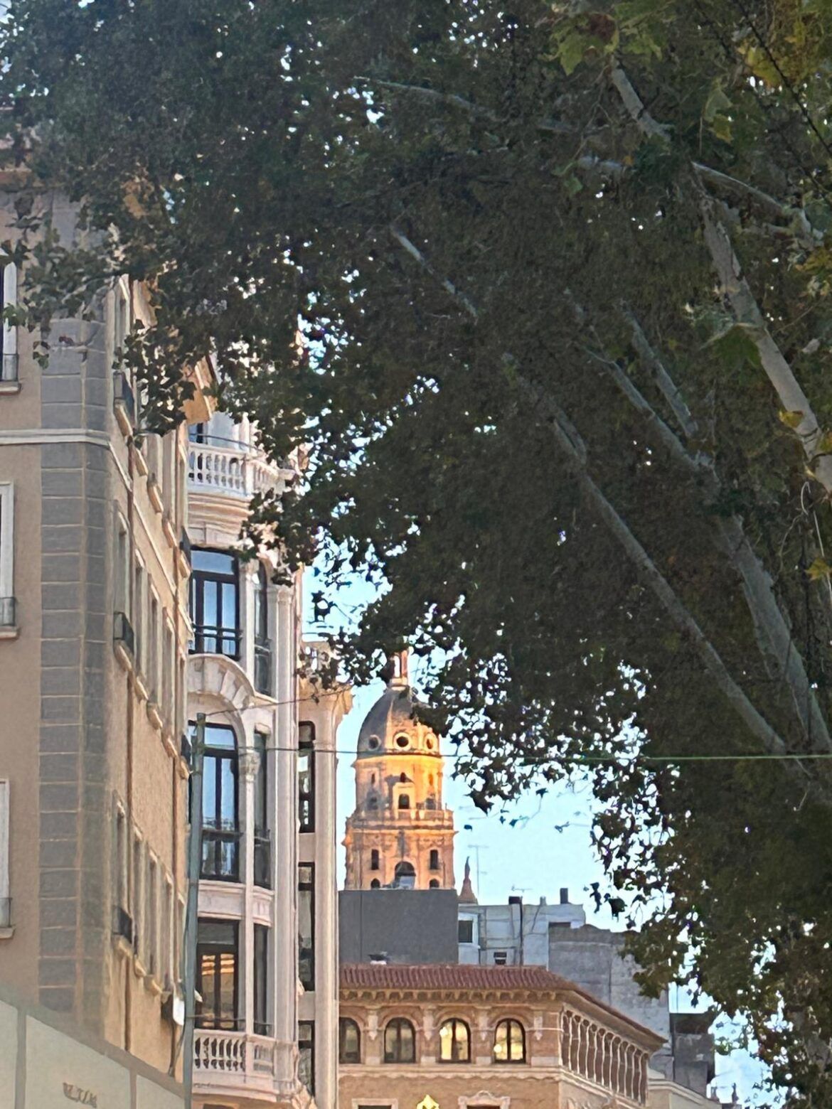 El Ayuntamiento pone en marcha más de 200 bonos para residentes y comerciantes en el aparcamiento de Verónicas La Región de Murcia, de enero a septiembre, la comunidad donde más crece el turismo extranjero - Gastronomía y Moda