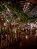Voltereta Tanzania abre en Alicante, un restaurante en medio de la selva - Gastronomía y Moda