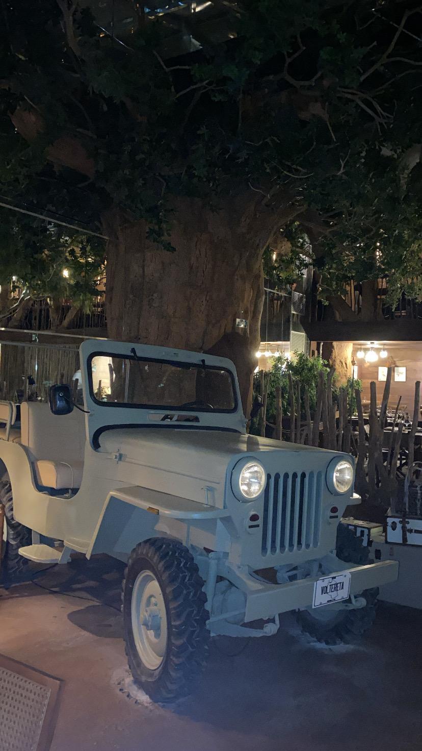 Voltereta Tanzania abre en Alicante, un restaurante en medio de la selva - Gastronomía y Moda