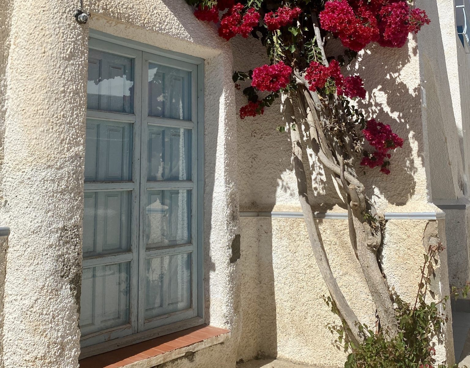 Agua Amarga, uno de los mayores pueblos con encanto de Almería - Gastronomía y Moda