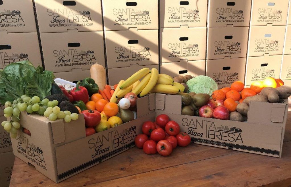 Para papá, siempre lo mejor: Frutas y verduras de Finca Santa Teresa - Gastronomía y Moda