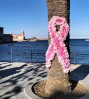 Collioure, el lugar con más encanto de Francia - Gastronomía y Moda