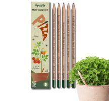 De escribir recetas a cultivarlas: llegan a España los lápices plantables que se transforman en toppings de pizza - Gastronomía y Moda