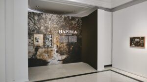 Háptica, la exposición de Joan Fontcuberta que cuestiona la imagen digital llega a Sevilla - Gastronom,ía y Moda