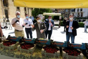 La VIII Muestra Provincial de la Cereza recorrerá hasta mediados de junio siete municipios jiennenses - Gastronomía y Moda