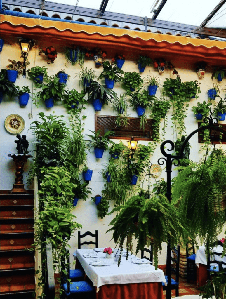 ❤️ San Valentín se celebra en el Restaurante Puerta Sevilla San Valentín se celebra en el Restaurante Puerta Sevilla - Gastronomía y Moda
