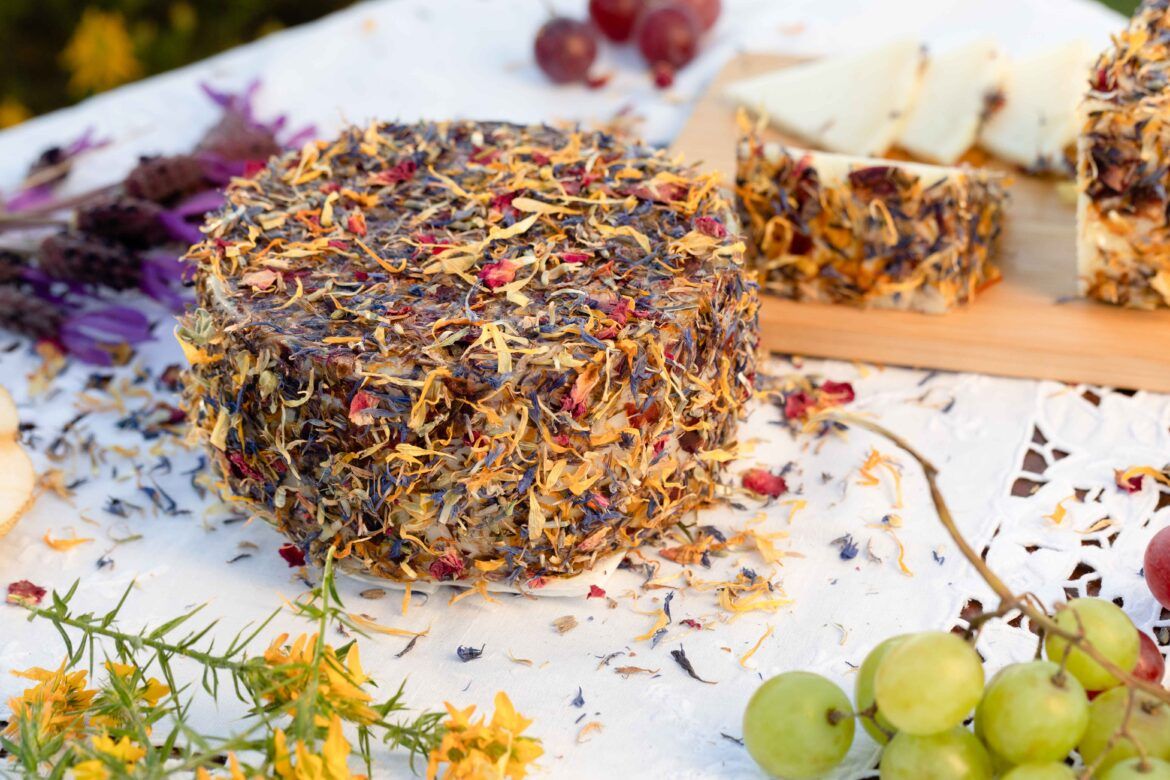 CorSevilla lanza un queso curado de cabra con flores de la dehesa que ya conquista premios en Andalucía - Gastronomía y Moda