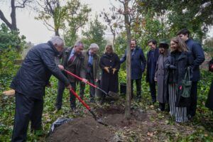 'Replanta Sevilla’ suma nuevas donaciones con un roble por el 70 aniversario del Grupo gastronómico Casa Robles - Gastronomía y Moda