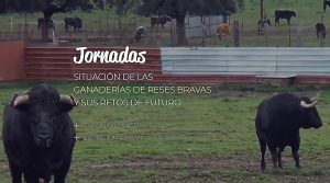 La localidad cacereña de Moraleja acoge las jornadas: ‘La situación de las ganaderías de reses bravas y sus retos de futuro’