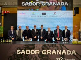 La Ruta del Vino de la provincia de Granada toma forma como proyecto estratégico tras su impulso en Madrid Fusión 2026 - Gastronomía y Moda