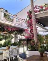 Celicioso, pastelería gluten free y saludable en Marbella - Gastronomía y Moda