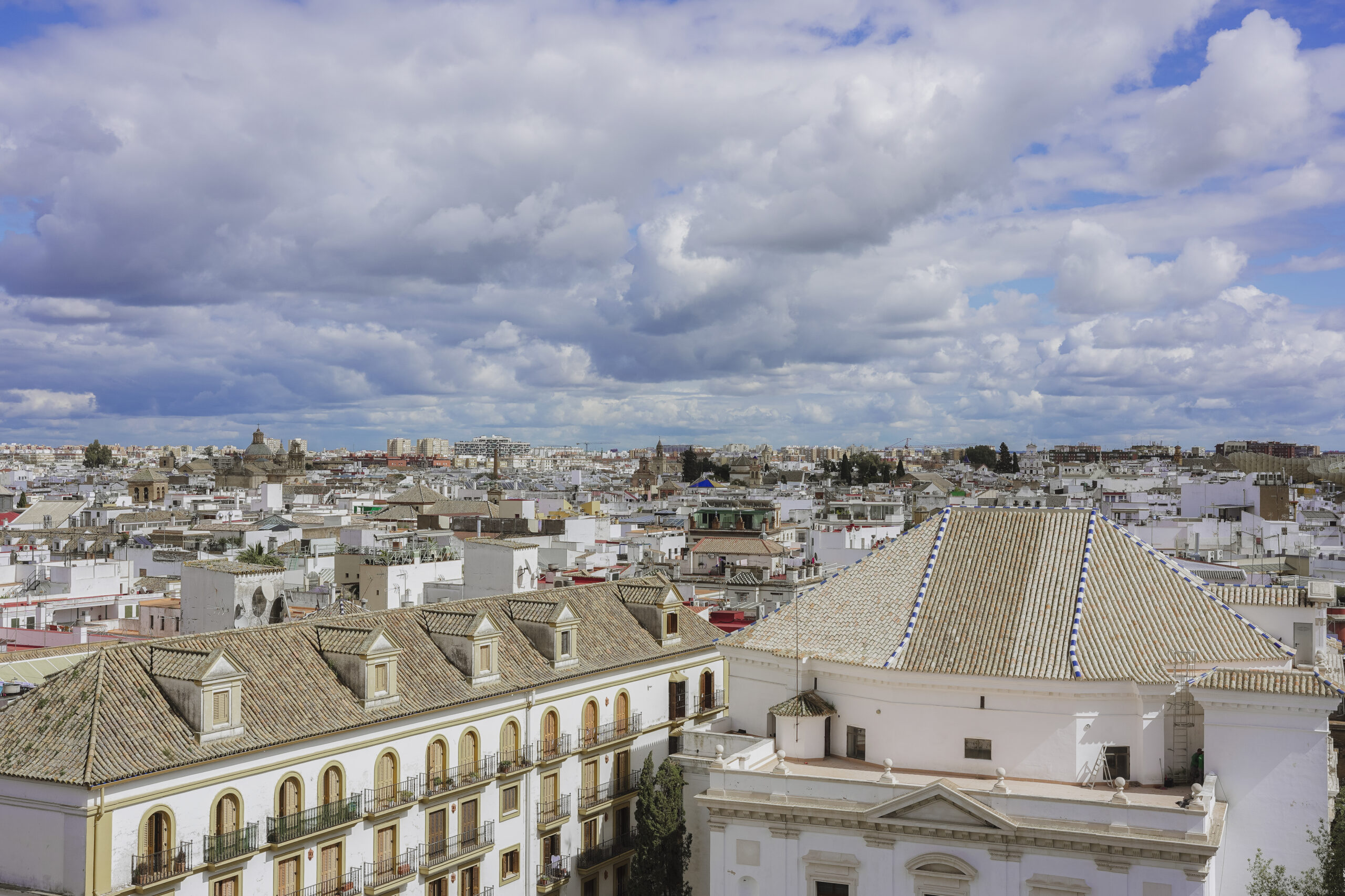 Thompson Sevilla abre sus puertas en La Gavidia con 101 habitaciones y Casa Mayo - Gastronomía y Moda