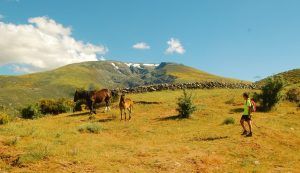 Nuevas tendencias turísticas del Turismo Rural y Sostenible by Rodrigo González - Gastronomía y Moda