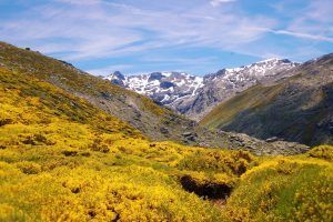 Nuevas tendencias turísticas del Turismo Rural y Sostenible by Rodrigo González - Gastronomía y Moda