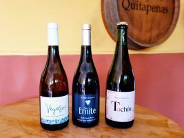 Quitapenas, la bodega histórica en Málaga, emprende una nueva etapa con tintos y blancos de alta calidad - Gastronomía y Moda