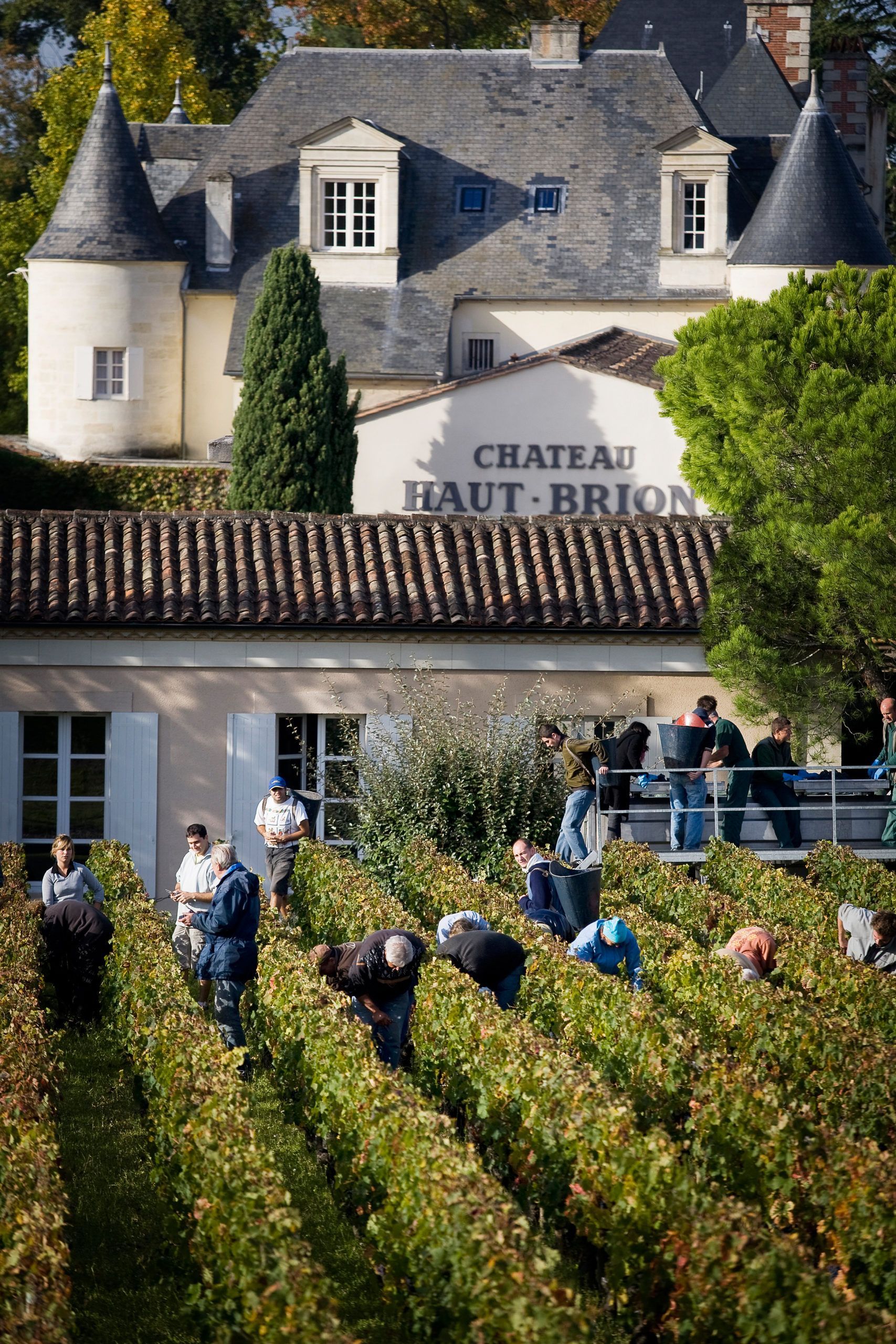 Château Haut-Brión aterriza en España de manera exclusiva de la mano de Cipriani Marbella - Gastronomía y Moda