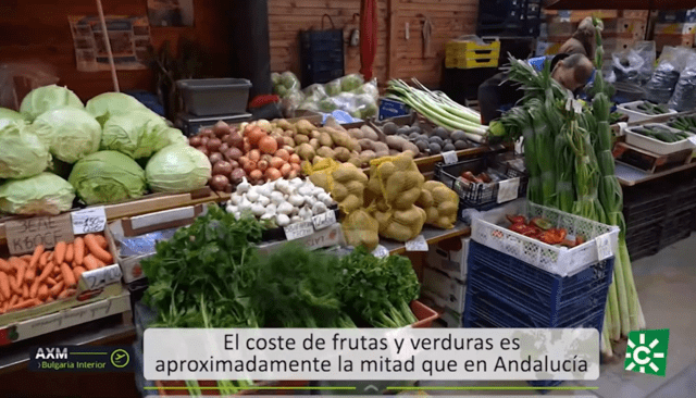 Mercedes Mena reivindica los sabores andaluces como vínculo cultural en Andalucía por el Mundo - Gastronomía y Moda