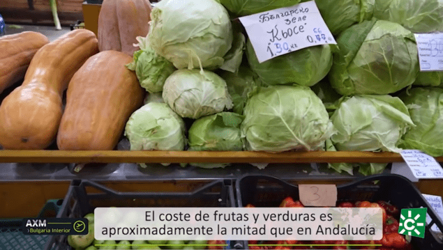 Mercedes Mena reivindica los sabores andaluces como vínculo cultural en Andalucía por el Mundo - Gastronomía y Moda