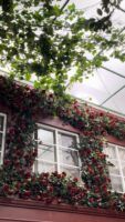 El restaurante temático Voltereta llega a Sevilla con una historia de amor - Gastronomía y Moda