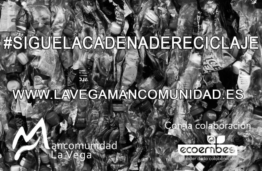 La Mancomunidad de la Vega lanza la campaña 'Sigue la cadena de reciclaje' con motivo del Día Mundial del Medio Ambiente - Gastronomía y Moda