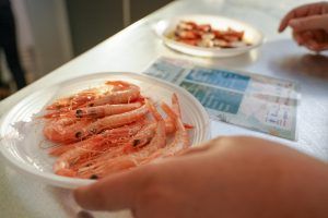 ¡Rotundo éxito! Más de 10.000 personas disfrutan de la mejor gastronomía en la IX Feria del Marisco de Huelva - Gastronomía y Moda