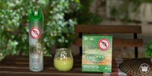 Antimosquitos: descubre todos los productos de Mercadona para estar protegido este verano 2024 - Gastronomía y Moda
