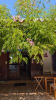 Restaurante S’Espartar, donde la tradición y el trato llegan al "Cum laude" - Gastronomía y Moda