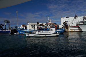 Naturaleza, historia y tradiciones de Isla Cristina en barco - Gastronomía y Moda