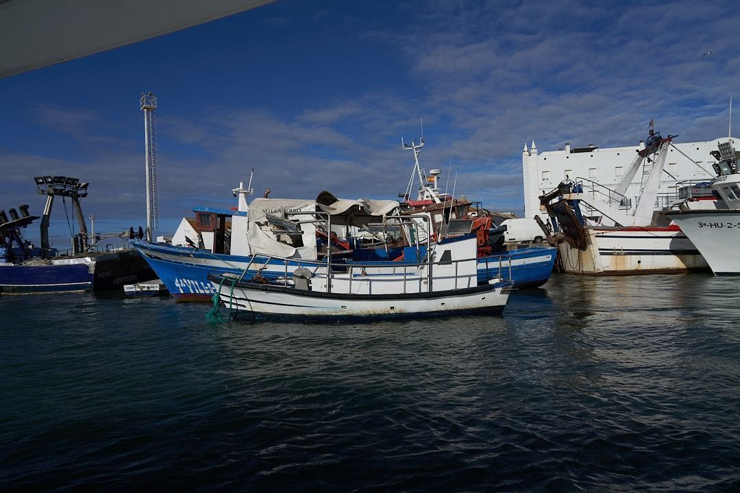 Naturaleza, historia y tradiciones de Isla Cristina en barco - Gastronomía y Moda