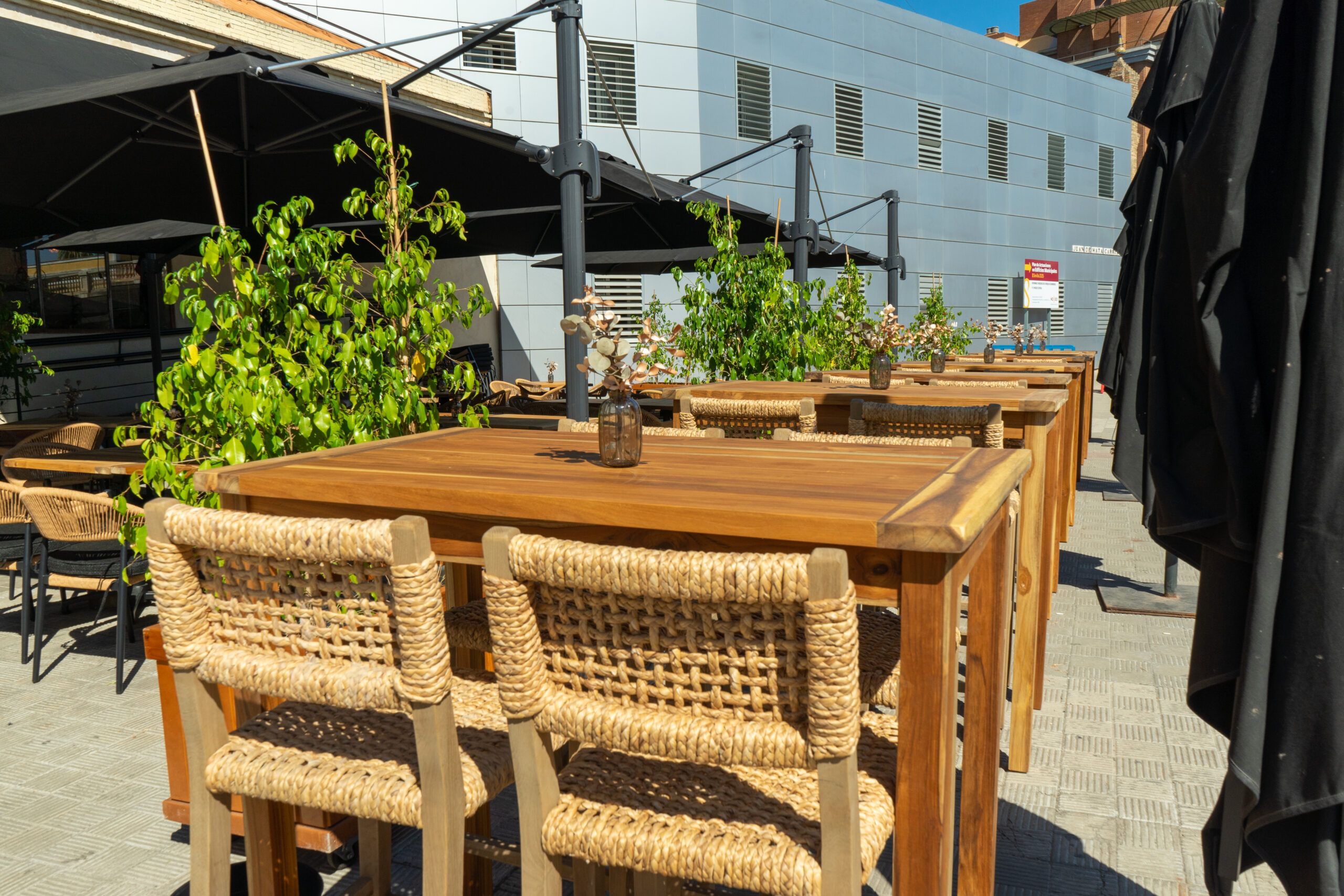 La Bernarda estrena nueva terraza en Sevilla y renueva su propuesta gastronómica - Gastronomía y Moda