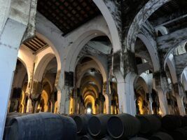 Fundador, mejor bodega de España y tercera del mundo en el ranking IWSC Top 50 Wine Producers 2025 - Gastronomía y Moda