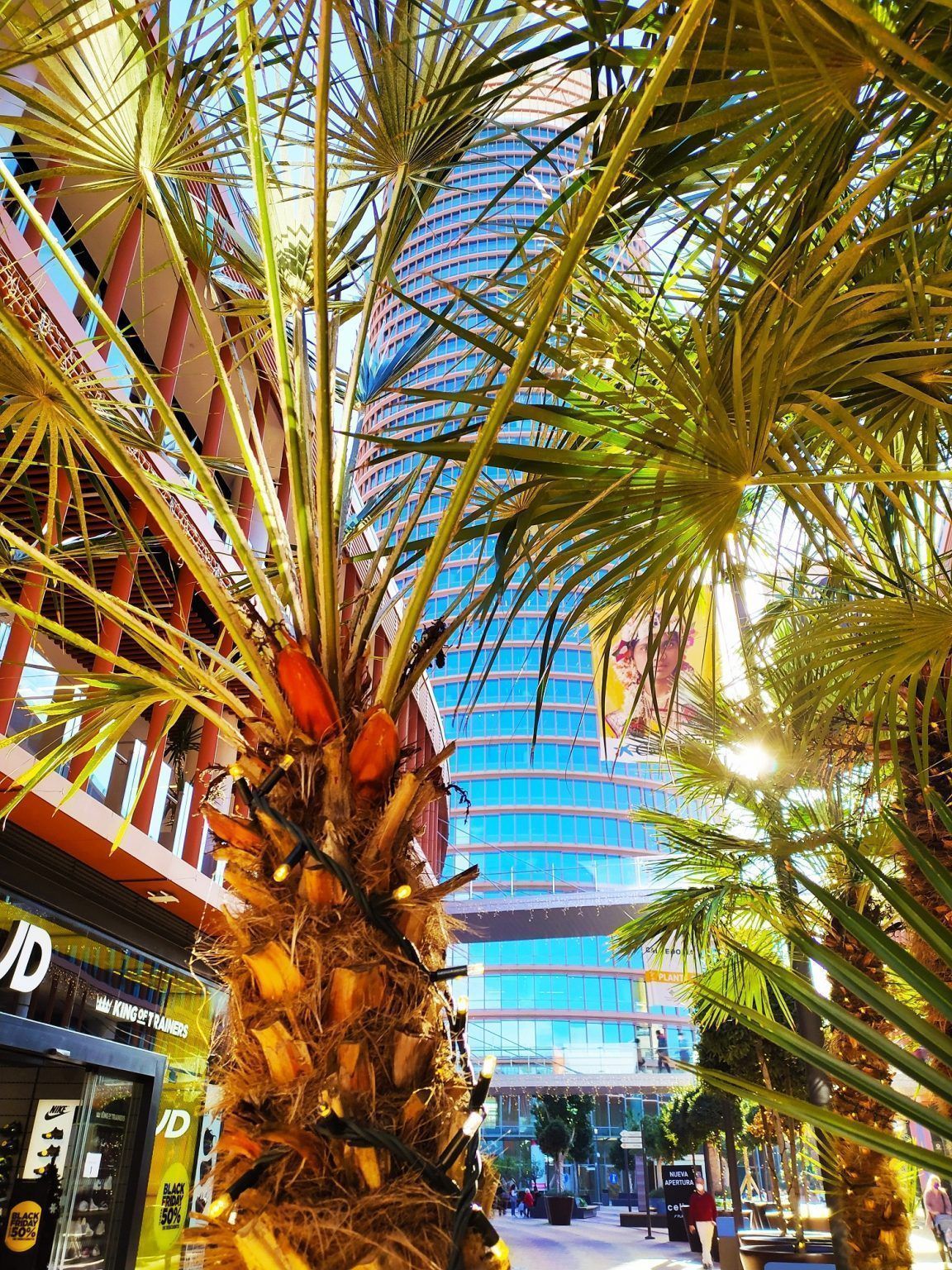 El Centro Comercial TORRE SEVILLA lanza su servicio de “Click & Drive” para la recogida de pedidos online - Gastronomía y Moda