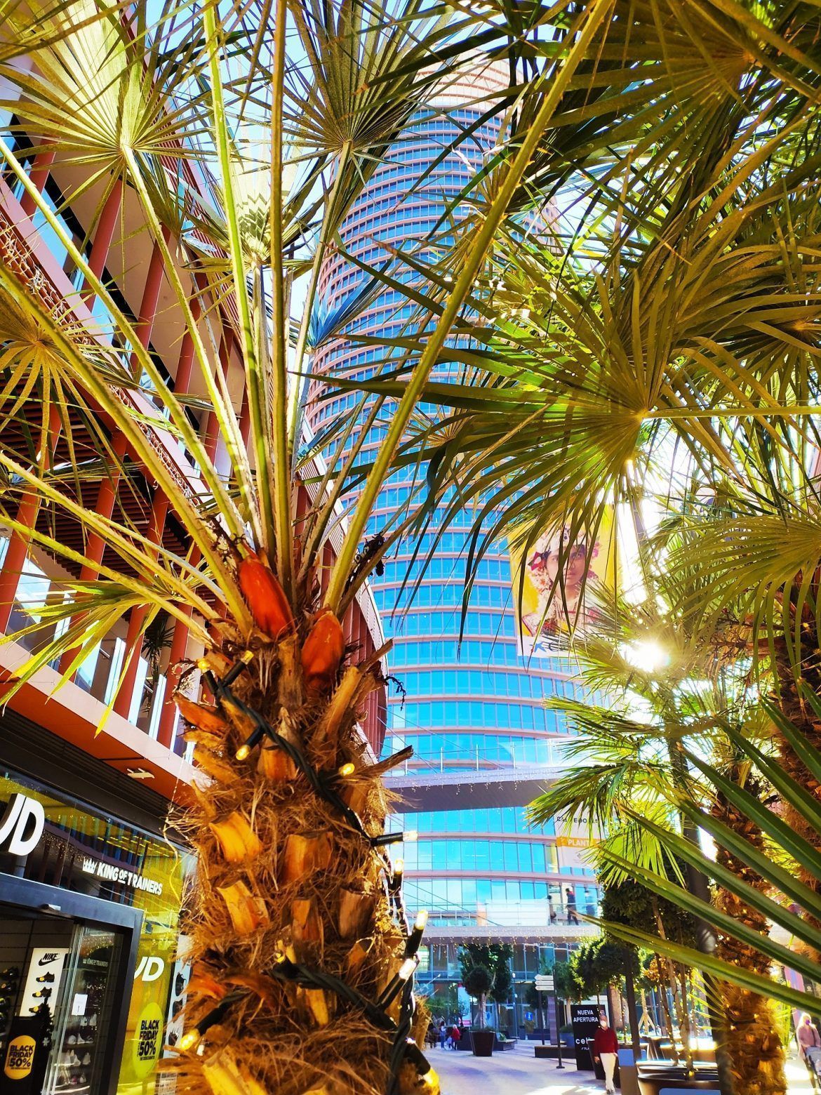 El Centro Comercial TORRE SEVILLA lanza su servicio de “Click & Drive” para la recogida de pedidos online - Gastronomía y Moda