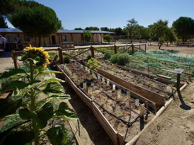 El Centro del Medioambiente La Talaverona en Las Rozas acogerá el Mercado de Tomates El Centro del Medioambiente La Talaverona en Las Rozas acogerá el Mercado de Tomates - Gastronomía y Moda