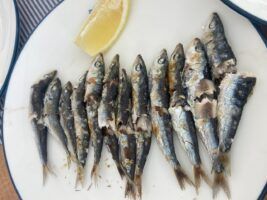 Chiringuito Pez Limón, todo un referente gastronómico en Almuńecar - Gastronomía y Moda