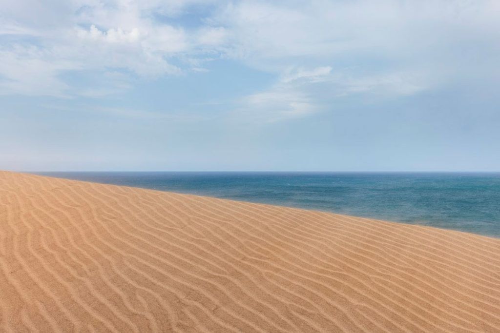 Andalucía fuera de foco: ocho miradas para repensar el paisaje - Gastronomía y Moda