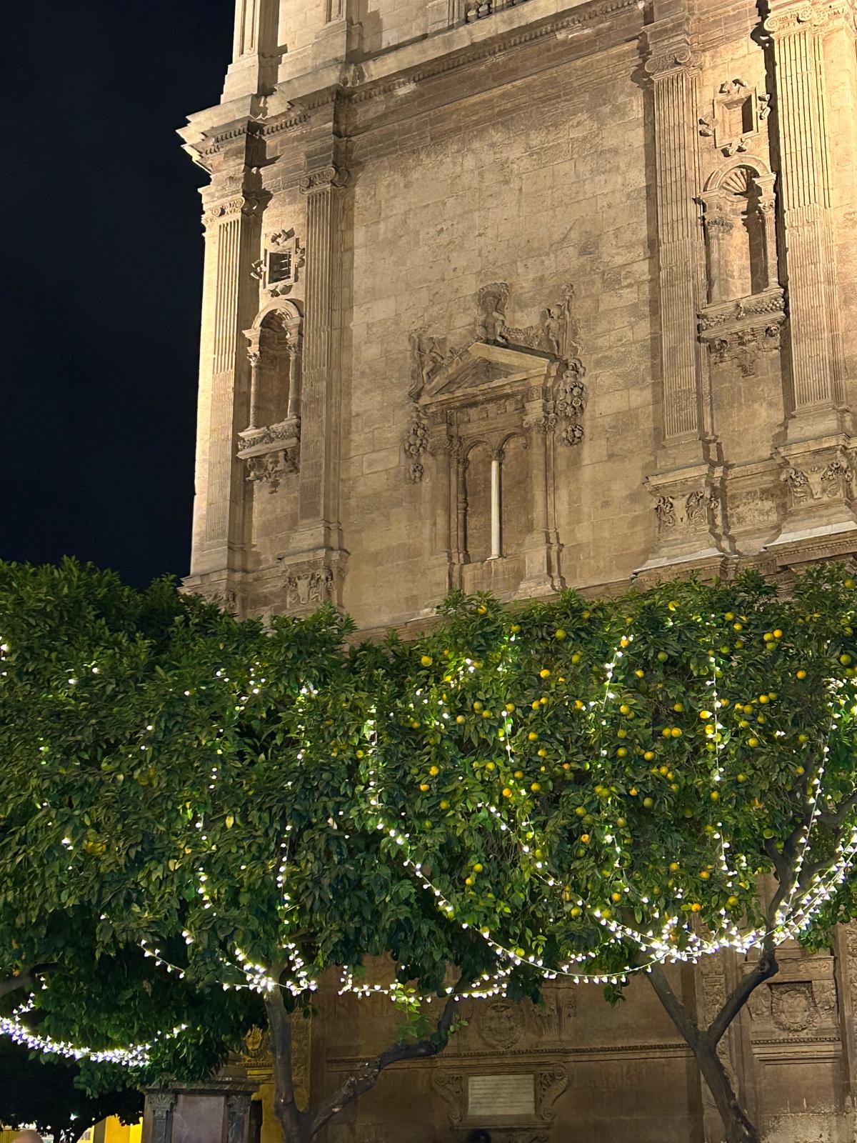 Murcia enciende la Navidad con el corazón por los afectados por la DANA - Gastronomía y Moda