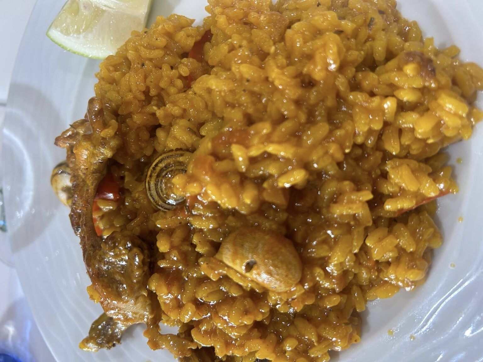Mesón Sotomayor: tradición y sabor en pleno corazón de Patiño (Murcia) - Gastronomía y Moda.