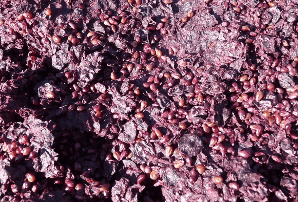 Reutilización del orujo de uva: múltiples usos de un subproducto de la vinificación - Gastronomía y Moda