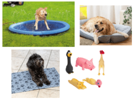 ALDI pone a la venta una selección de productos para mascotas a precios bajos - Gastronomía y Moda