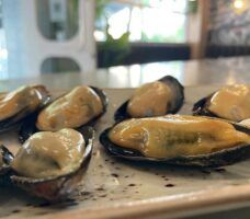 Albur cervecería, come a base de tapas, raciones y platos para compartir rodeado del mejor ambiente de Jerez de la Frontera - Gastronomía y Moda