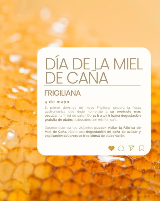 Mayo llega a Málaga cargado de festividades y tradiciones - Gastronomía y Moda