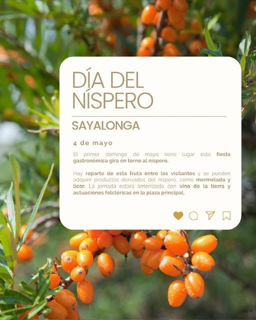 Mayo llega a Málaga cargado de festividades y tradiciones - Gastronomía y Moda