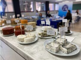 La Diputación de Málaga convoca una nueva edición de los premios a los mejores vinos con DOP Málaga y Sierras de Málaga y a los mejores quesos de cabra de la provincia - Gastronomía y Moda