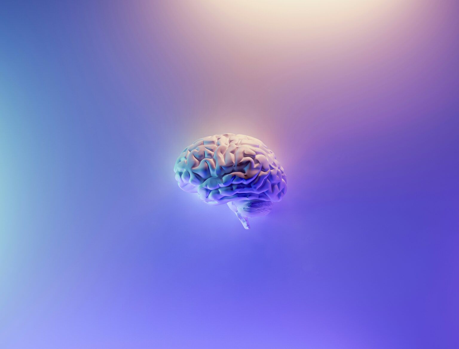 Alzheimer, derechos civiles y laborales de las personas diagnosticadas - Gastronomía y Moda
