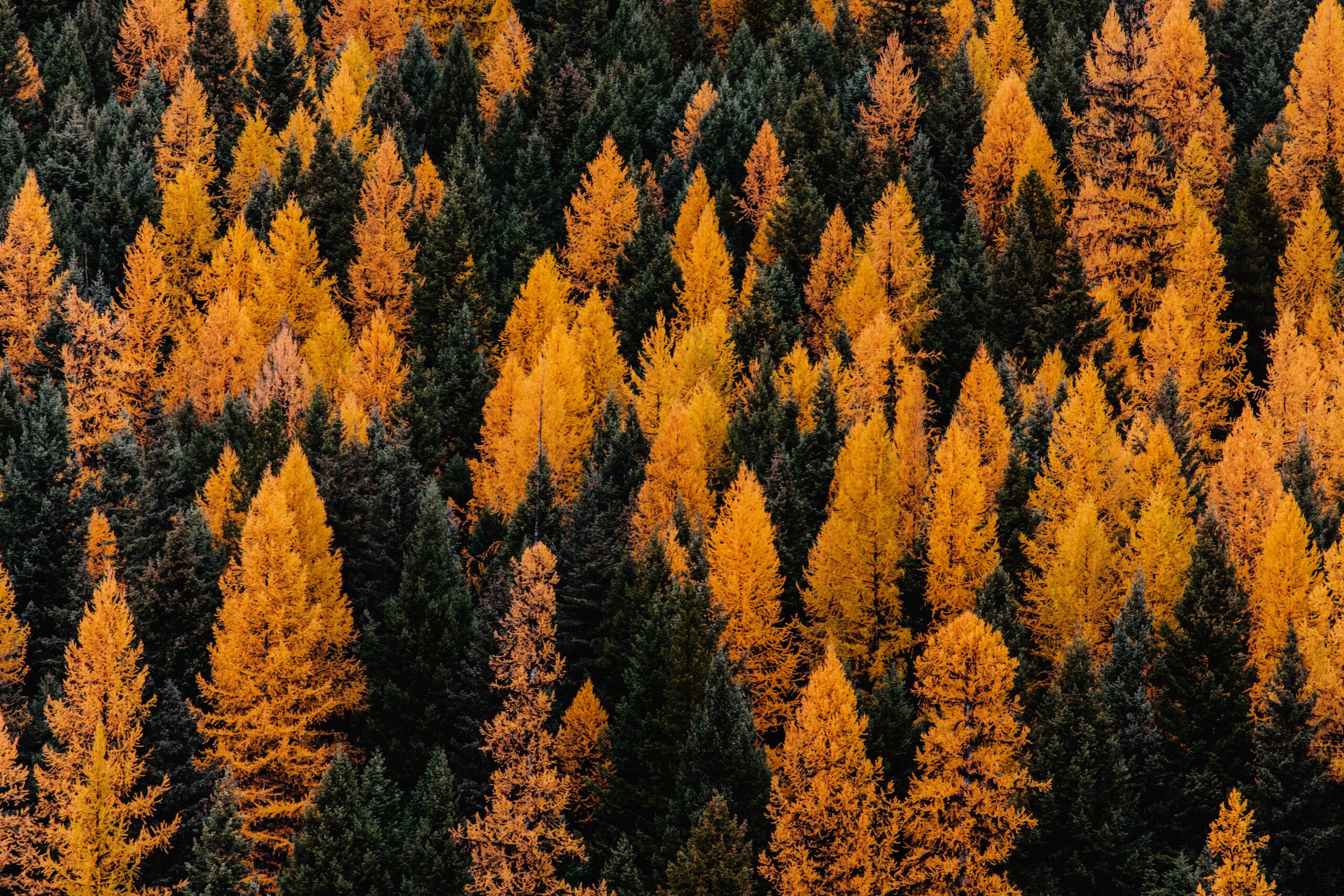 Escapadas en España para disfrutar del otoño: destinos y planes para desconectar - Gastronomía y Moda