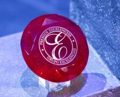 FITUR acoge la XXI edición de los Premios Excelencias del turismo y la gastronomía - Gastronomía y Moda